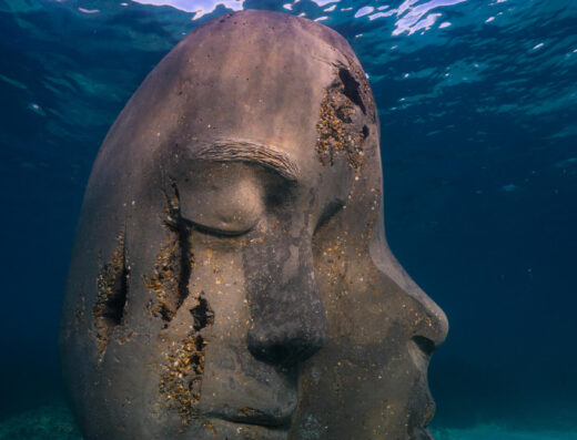 Nos acteurs locaux 64 Nos acteurs locaux