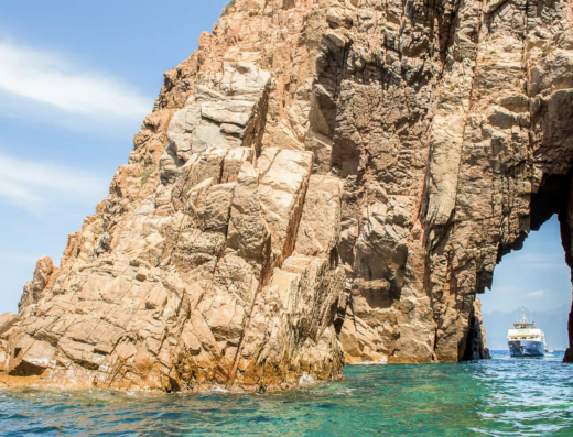 Nos acteurs locaux 58 Nos acteurs locaux