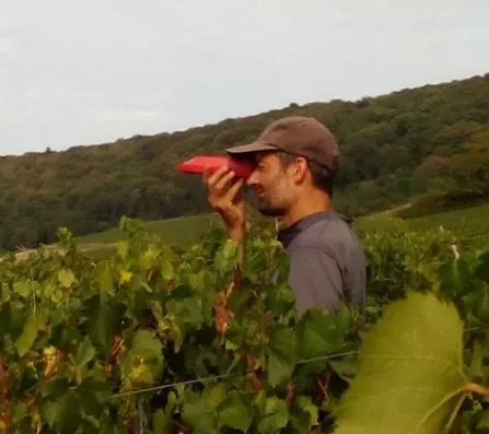 Nos acteurs locaux 33 Nos acteurs locaux