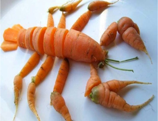 Nos acteurs locaux 52 Nos acteurs locaux