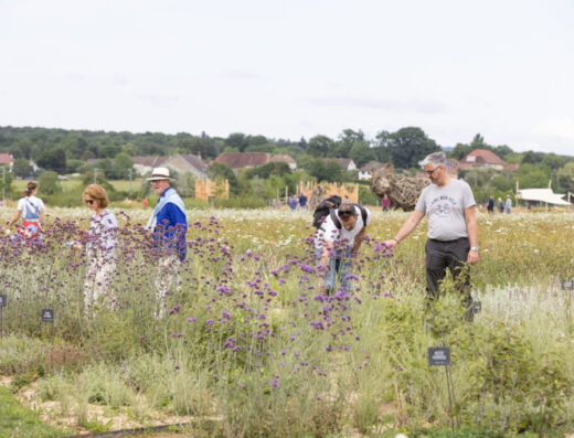 Nos acteurs locaux 23 Nos acteurs locaux