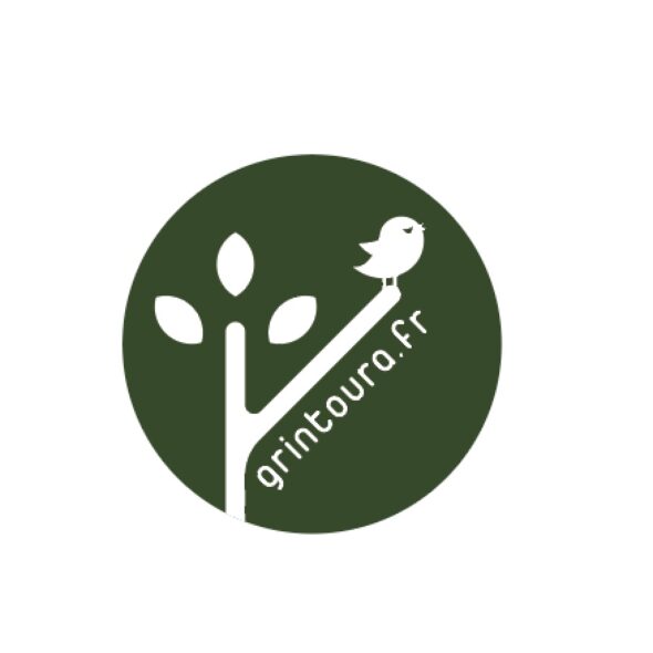 Les conseils de Grintoura